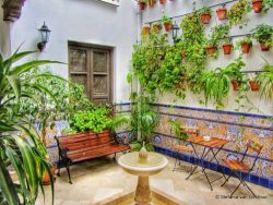Hotels en Appartementen in Malaga